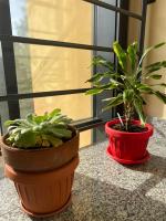 Appartamento Eliana - Bed and Breakfast Asti