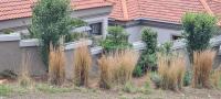Three Stones Executive Apartments - B&B