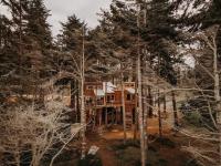Treehouse-Small Eagles Perch over the water - B&B Port Angeles
