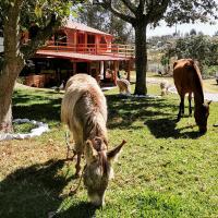 B&B Puembo - La Granja de Papá Alberto - Bed and Breakfast Puembo