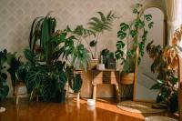 LáVuTa Home - B&B Vung Tau