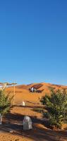 Merzouga Bohemian Camp - B&B
