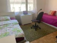 Kleine Wohnung im Zentrum Graz - Ferienwohnung