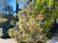 Monolocale con Vista Piscina