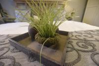 Gästehaus Waldeck - Ferienwohnung Großgmain