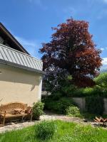 Apartment mit Gartenblick