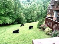VIEWS & FIREPLACE - Minutes to Gburg and Ober - Condo - B&B