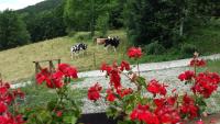 Monolocale con Divano-Letto