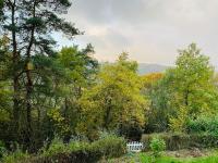 Schöne Ferienwohnung mit Waldblick in Dillenburg - B&B Dillenburg
