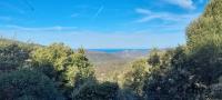 Vos vacances à Lama France Corse - Ferienwohnung