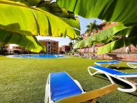 Beautiful 1 bedroom apartment in Palm Mar, PM101 - B&B