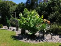 Glori' s Fewo groß - B&B Bad Sooden-Allendorf