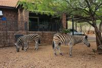 B&B Marloth Park - Ukweza Guest House - Bed and Breakfast Marloth Park