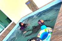 Desaru 16Pax Family with Private Mini Pool & Jacuzzi - B&B