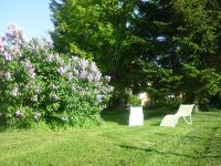 Gîte paisible à Ébreuil avec jardin, animaux acceptés - FR-1-489-19 - B&B Ébreuil