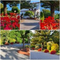 Superior Double or Twin Room with Garden View