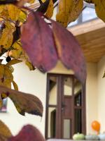 Cabana Caterina - B&B