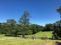 Gîte de charme Les Trois Chênes - B&B