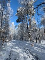 Casa con 3 Camere da Letto
