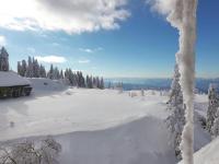 Kopaonik Župa 505 - B&B Kopaonik
