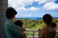 The Pool Resort Villa ICHIGOICHIE - B&B Onna
