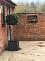 The Lodge - Dog Friendly Farm Cottage - Bed and Breakfast