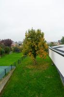 Ferienhaus Reuter - B&B Schweich