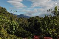 Backyard loft in the heart of the forest - B&B Salento