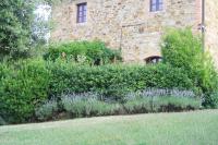 Agriturismo Rigone in Chianti - B&B