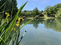 Valley View Lodge - Bed and Breakfast Welshpool