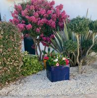 Appartement à l’étage indépendant - B&B Ars-en-Ré