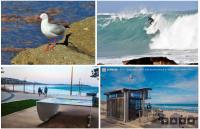 Dee Why Beach - Surfrider Studio 8 - B&B Dee Why