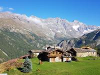 B&B Valtournenche - Chalet L'Ange Des Neiges - Relax & SPA - Bed and Breakfast Valtournenche