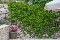 villa Melissa - B&B Kostitsi