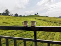 Tea Estate view stay - B&B Ooty