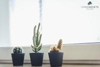 Studio Apartment im Zentrum - B&B Magdeburg