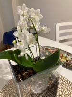 ÜHAUS departamentos en CABA-BUENOS AIRES - B&B Buenos Aires