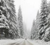 Appartement met Balkon