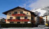 Appartement Pension Albert summercard and free parking included - B&B Zell am See