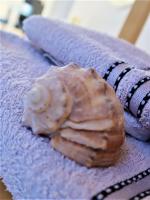 Kuschelige Dachgeschosswohnung am Clarapark - B&B Lipsia