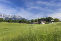 One-Bedroom Apartment with Terrace