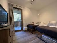 LES FREINETS - Apt D02 - BO Immobilier - Châtel - Reduced prices on ski passes Châtel & Portes du Soleil - B&B Châtel