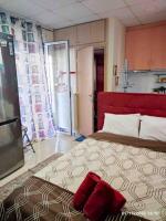 Spacious private rooftop studio, mountain and sea view - B&B Athens