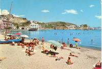 Ponzamania La terrazza di Cala Feola - Bed and Breakfast Ponza