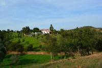 B&B Amoreiras - Quinta Do Grilo - Bed and Breakfast Amoreiras