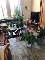 Grand appartement avec jardin chez Villa Eva - B&B Besanzone