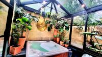 La Belle Endormie B&B French Guest house - B&B Bordeaux