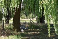 Cosy Cott, een verborgen logeerplek in het landelijke Poeke. - Bed and Breakfast