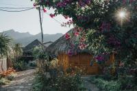 SAKURA House - Mộc Châu - Homestay yên bình giữa đồi chè - B&B Mộc Châu