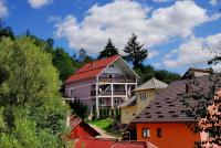 B&B Borşa - Casa Daiana - Bed and Breakfast Borşa